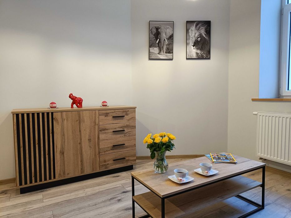 Kawalerka z antresolą, Centrum, Wysoki standard