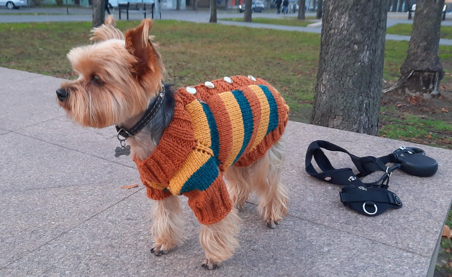 Вʼязаний светр для собачки