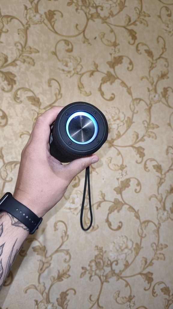 Bluetooth колонка Sounarc P4