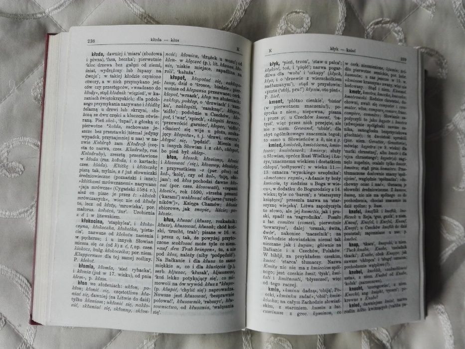 Słownik etymologiczny języka polskiego - Aleksander Brückner