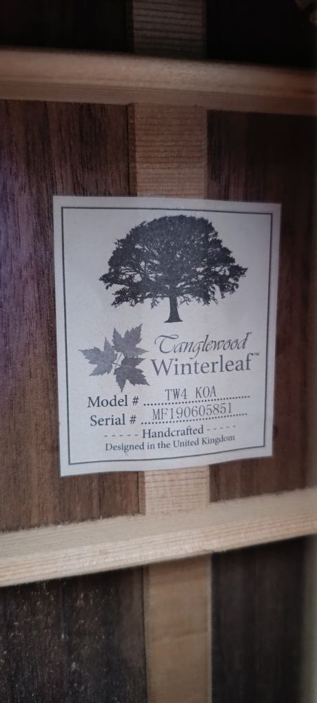 Tanglewood TW4 KOA