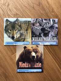Płyty „Wilki”, „Niedźwiedzie”, „Wielkie migracje”