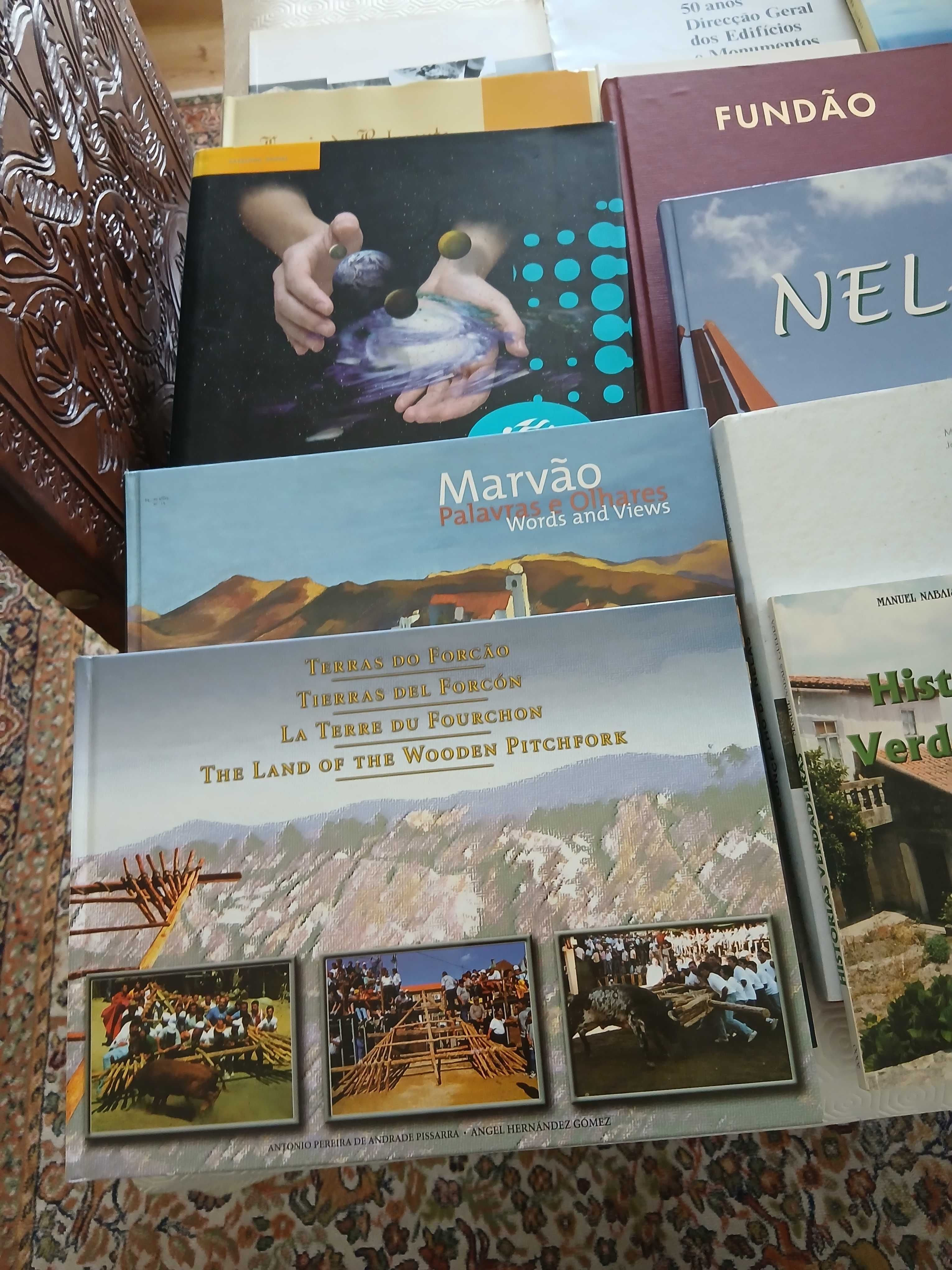 Livros ilustrados temáticos sobre localidades ou regiões de Portugal