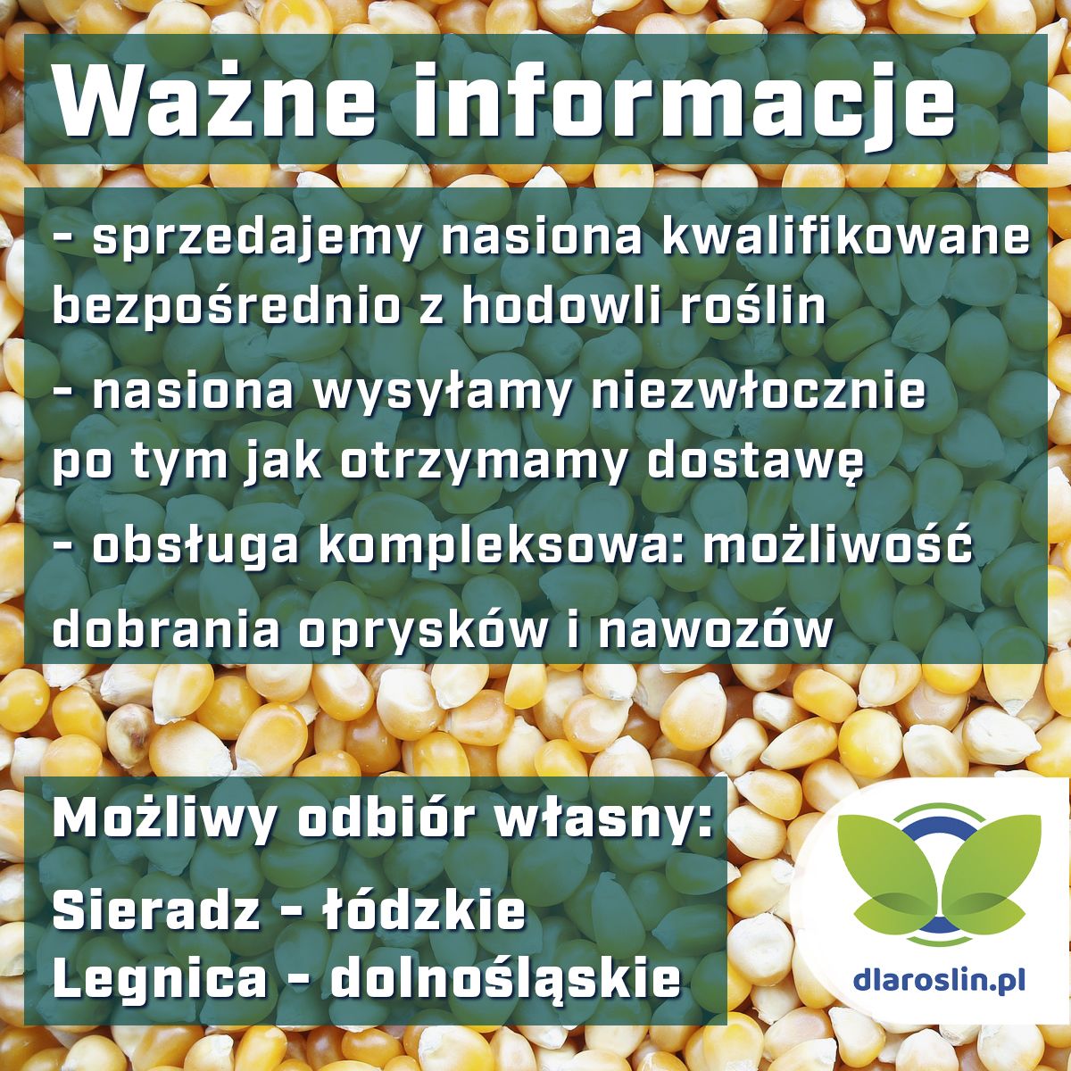 Kukurydza Baobi C1, opak. 80 tys. nas. | dlaroslin.pl