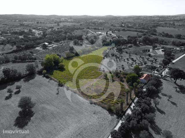 Quinta 2ha Montemor-o-Novo