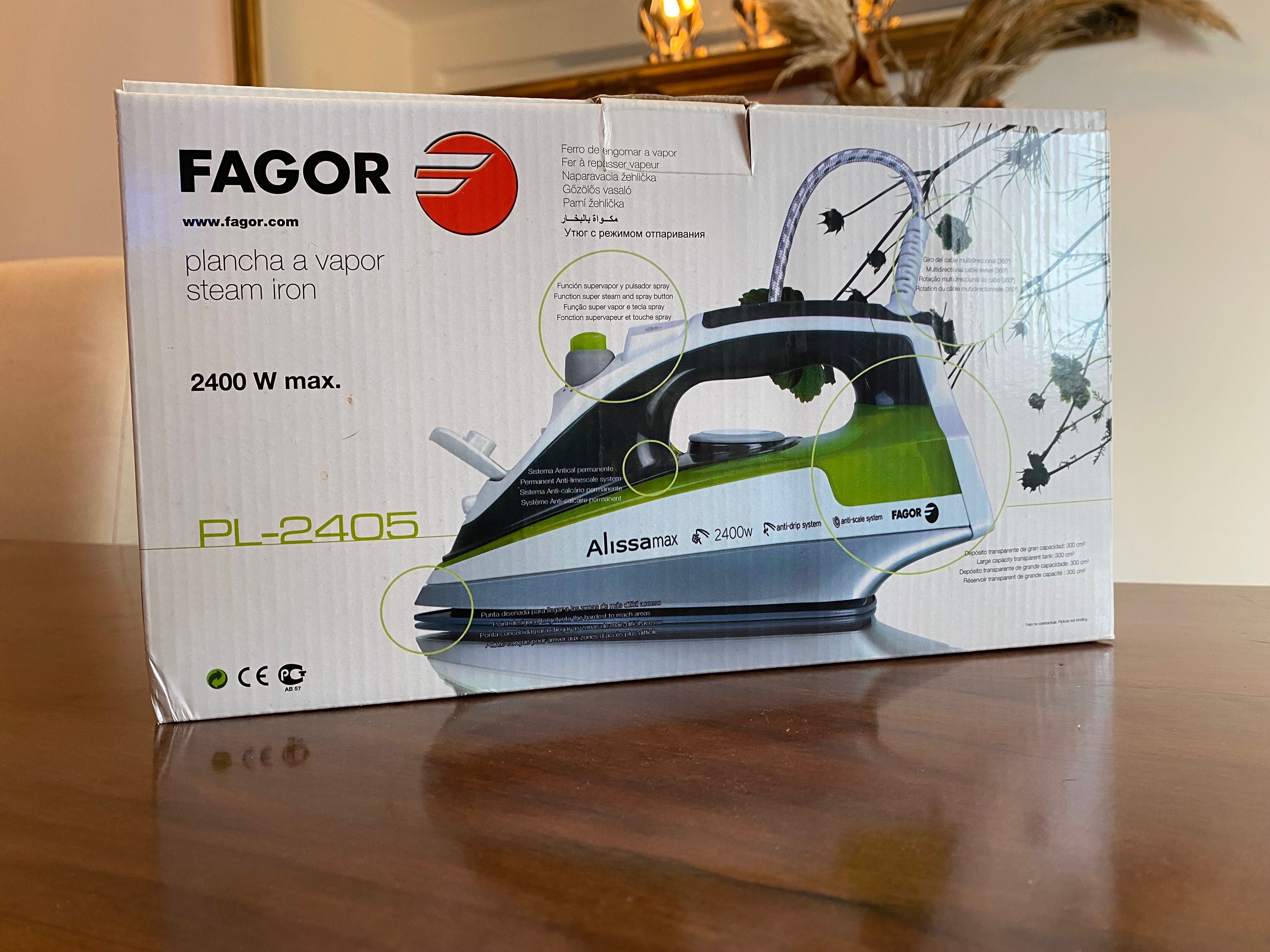 Ferro Engomar Fagor