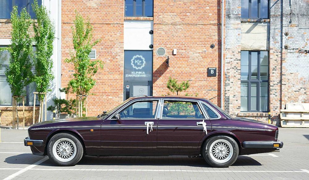Wyjątkowy samochód do ślubu Daimler Jaguar V12 wiśniowy klasyk burgund
