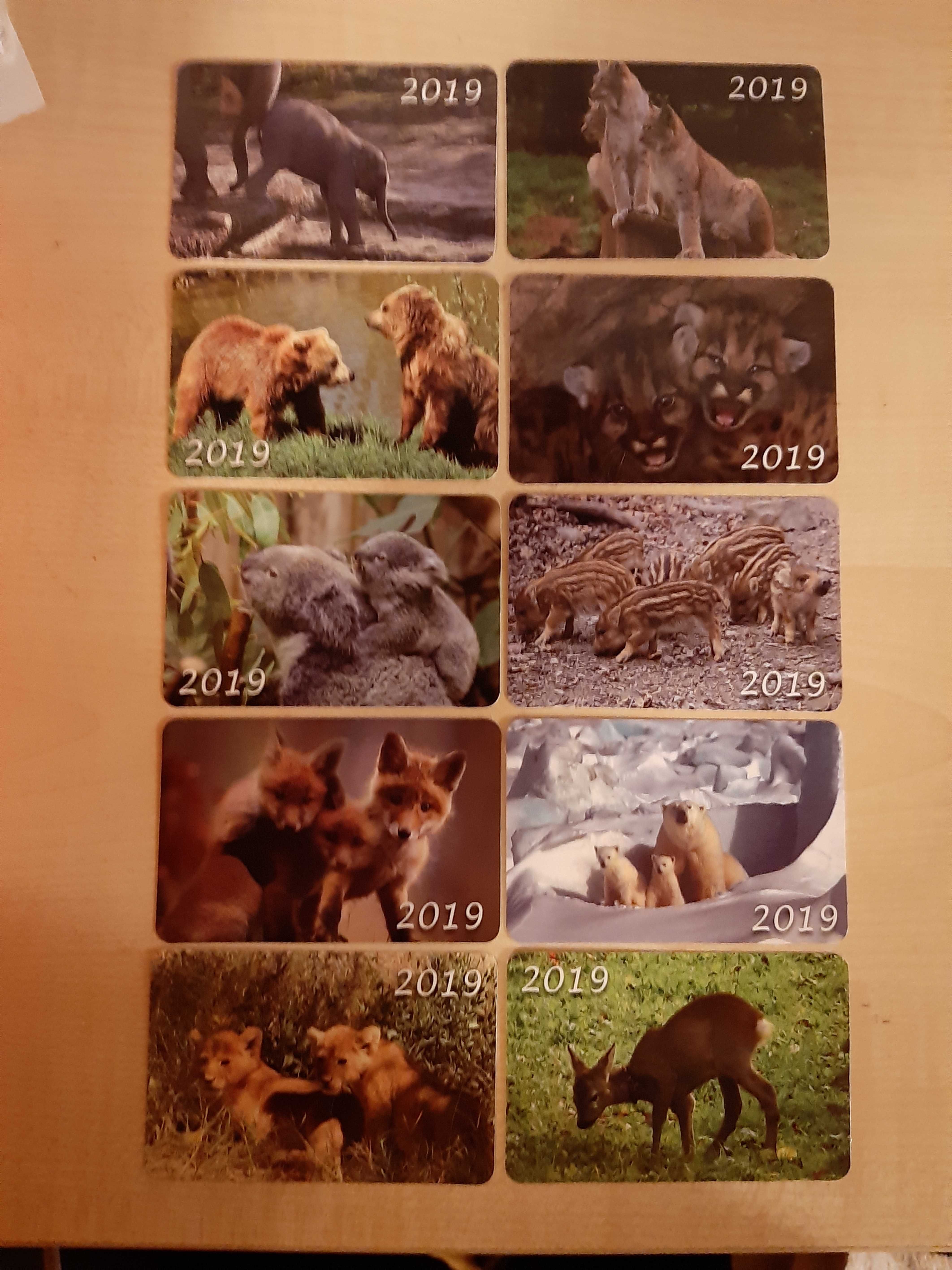 Kalendarzyki listkowe Zwierzęta Kwiaty 2019 rok