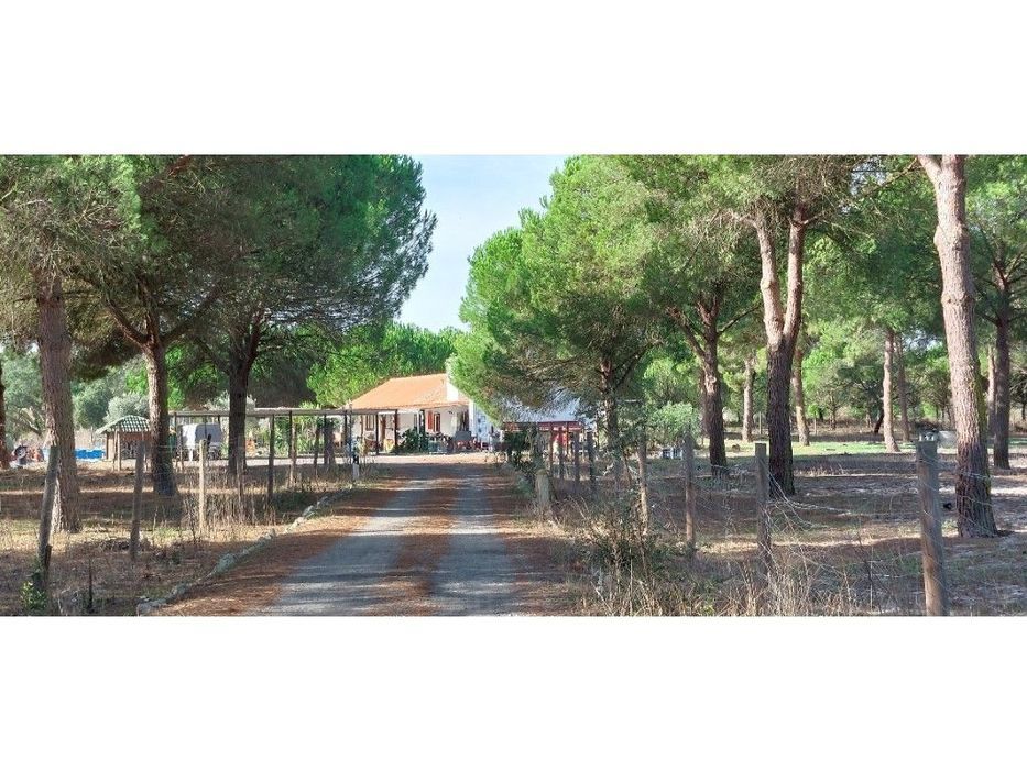 Quinta