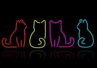 Podświetlone Kotki Koty Neon Led nowoczesna Dekoracja Świetlna