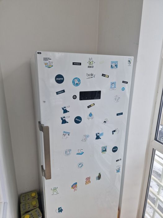Продам морозилку Beko RFNE290E23W.