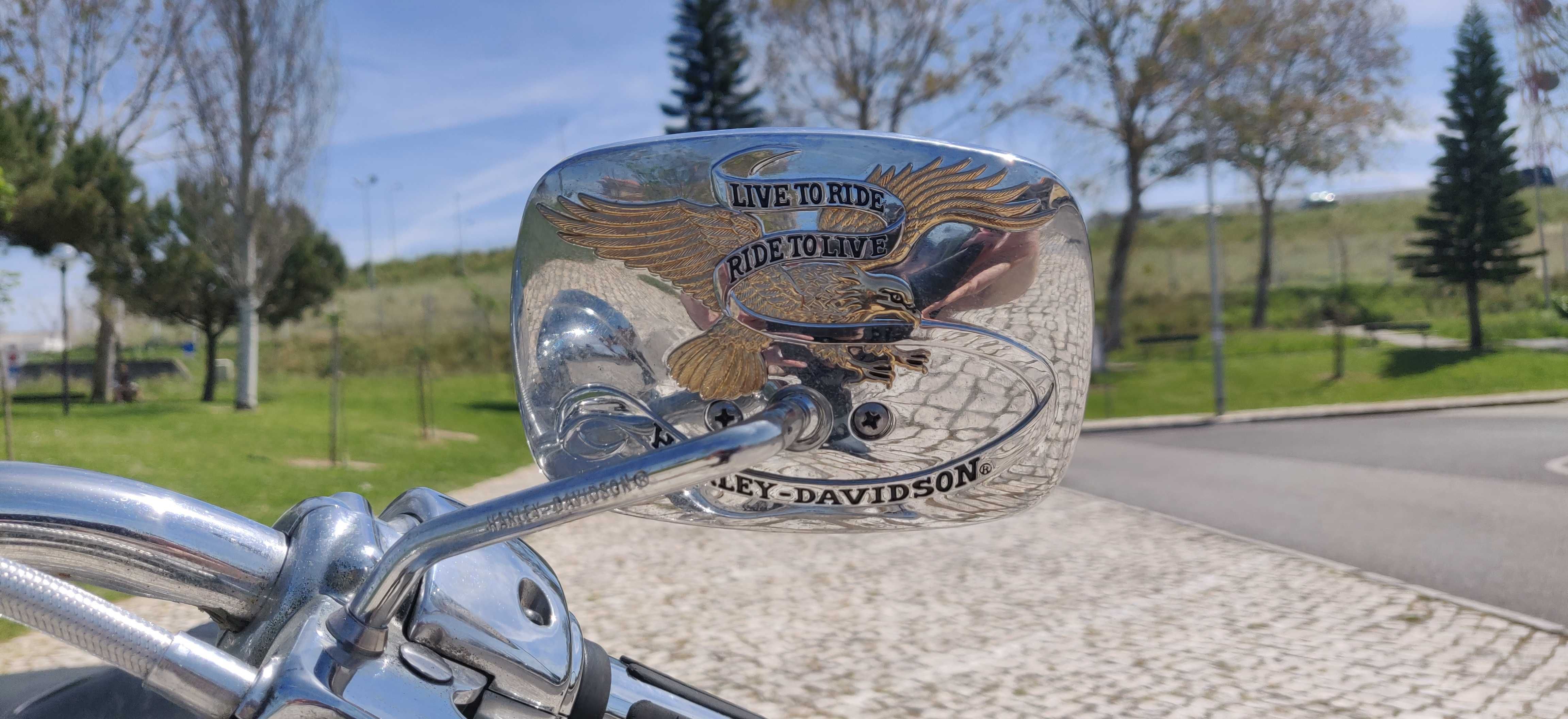 Harley Davidson Road King edição Centenária