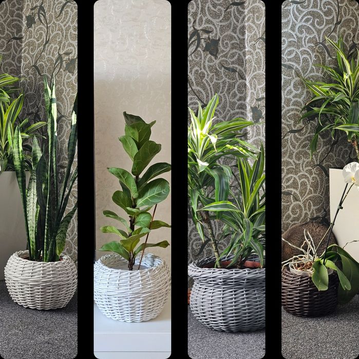 кашпо з штучного ротангу