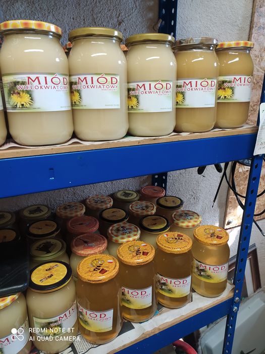 Miód z własnej pasieki 40zł