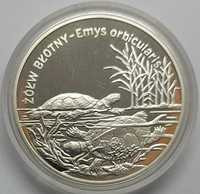 Moneta 20 zł Żółw błotny