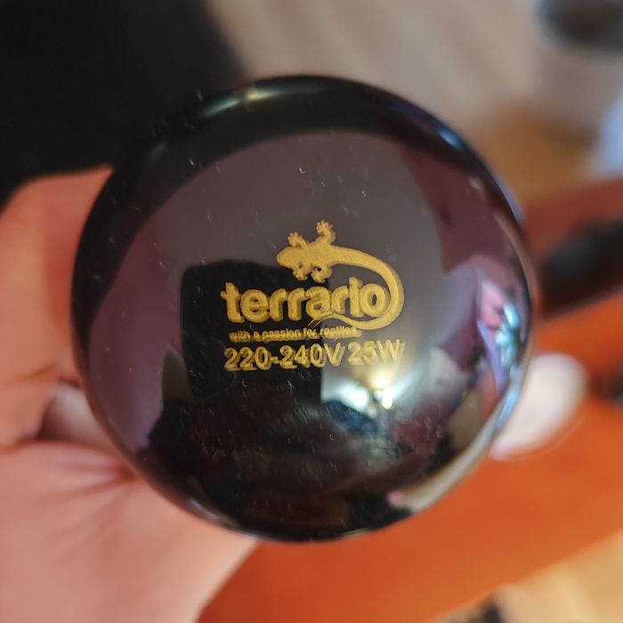 Żarówka do terrarium noc 220-240v 25 w