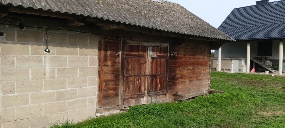 Budynek z dyla grubego