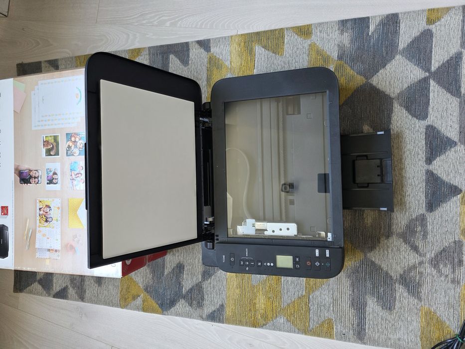 Принтер, сканер БФП canon TS3350