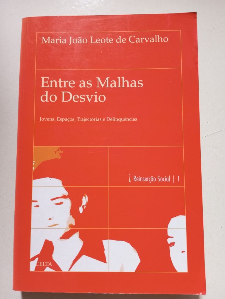 Entre as malhas do desvio - Maria João Leite de Carvalho