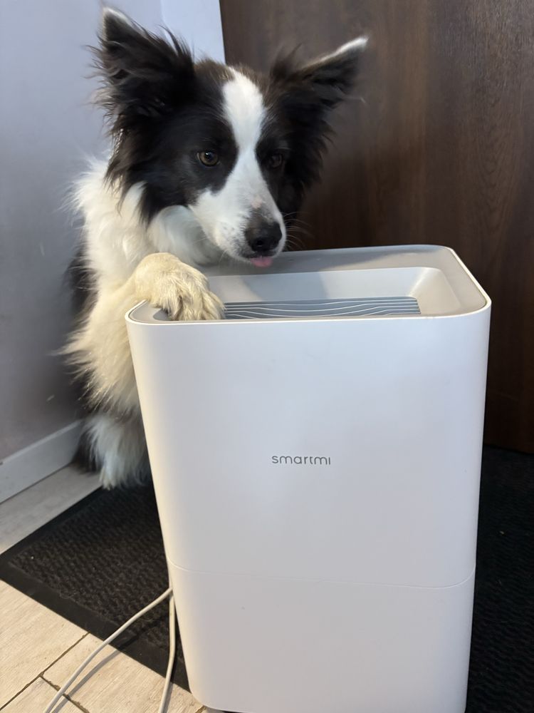 Nawilżacz Powietrza XIAOMI SmartMi Evaporative 4L
