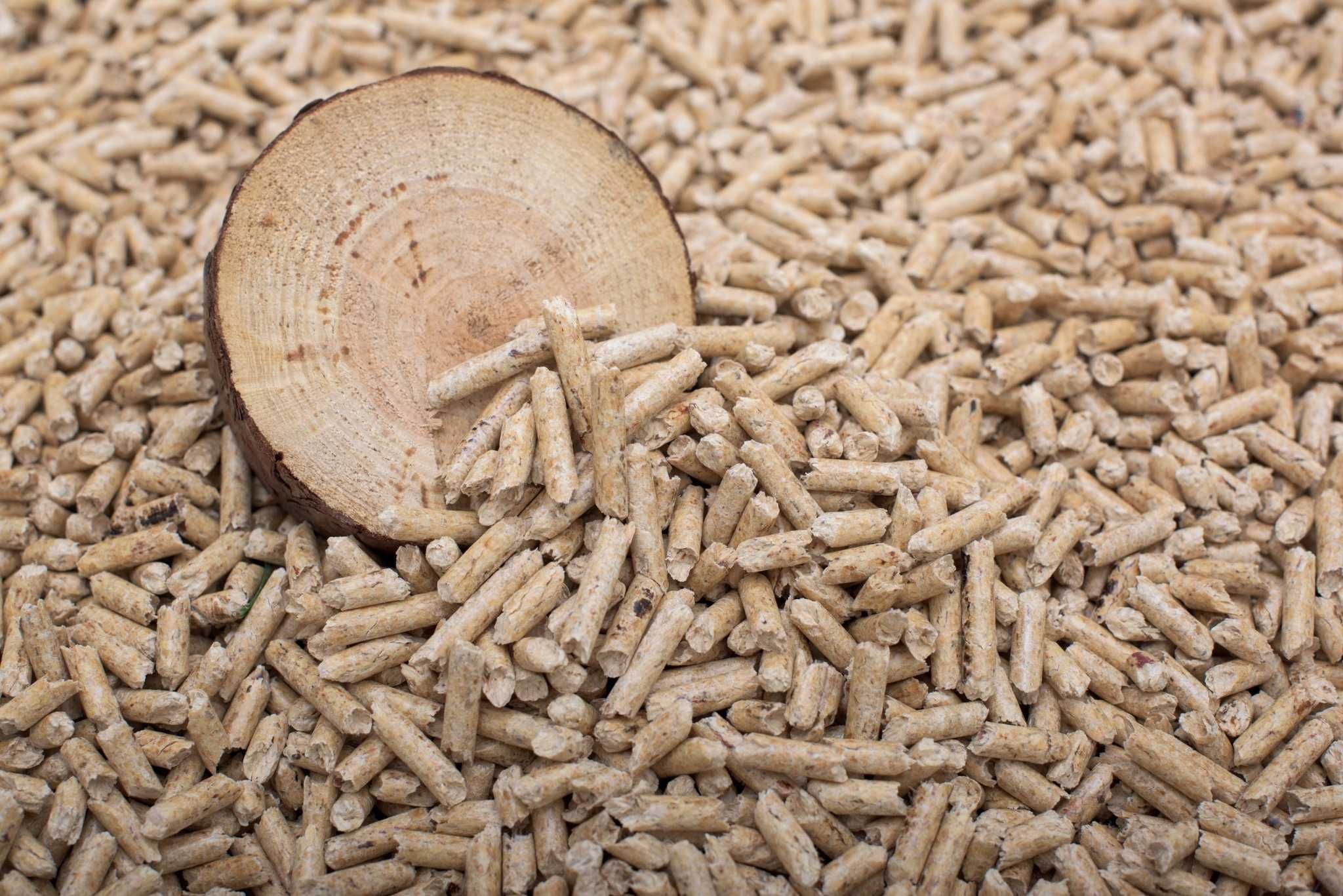 Pellets certificados Biotempus 3,99 Euros Tlm. 965.673.033
