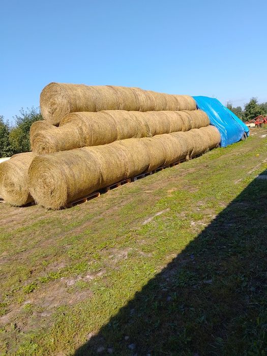 Sprzedam lub zamienię Sianokiszonka i siano