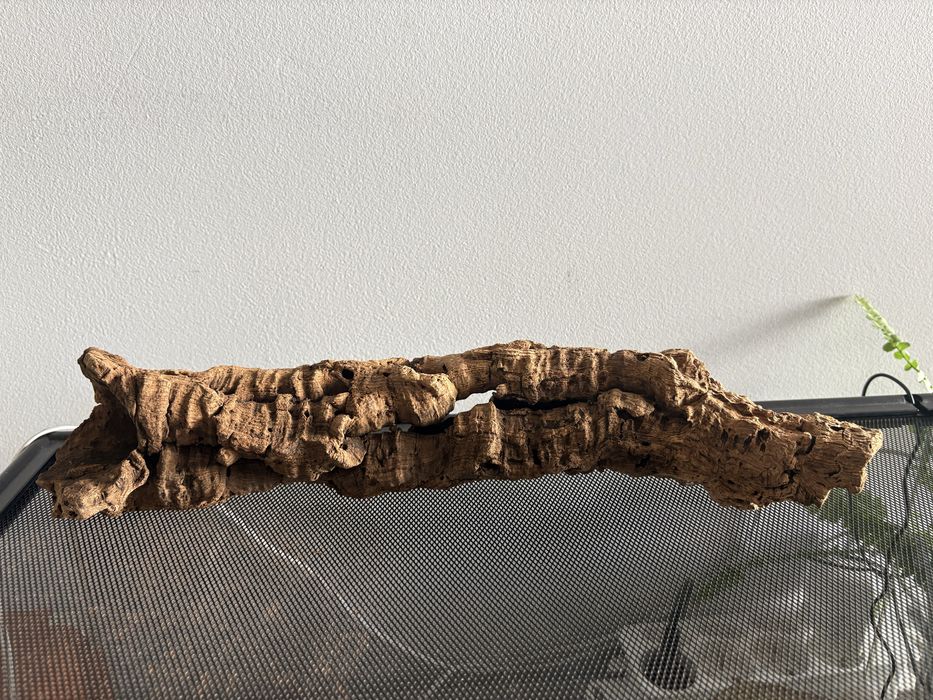 Kawałek naturalnej kory