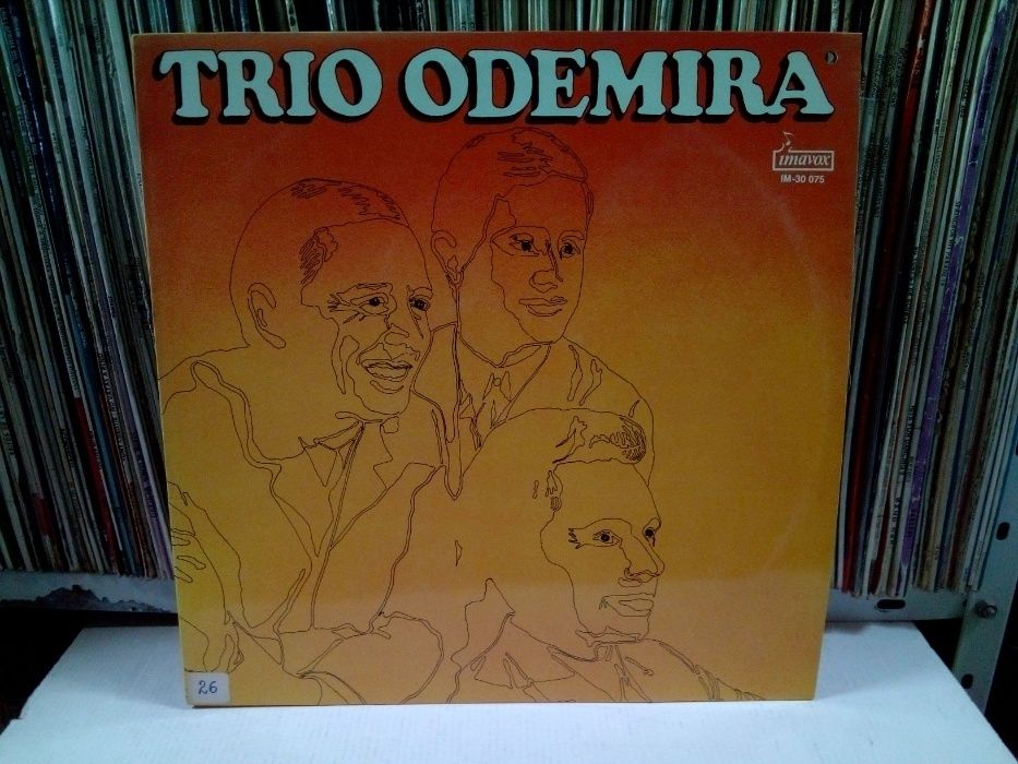 Lote Vinil Trio Odemira