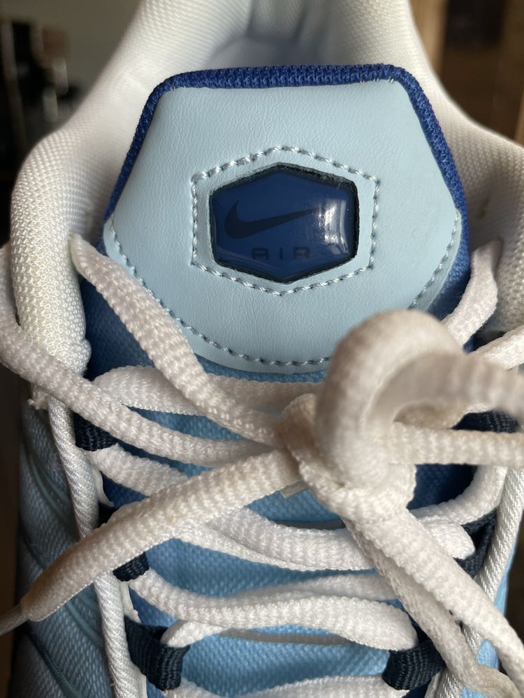 Кросівки Nike Air Max Plus (FJ4736-400) 46 розмір