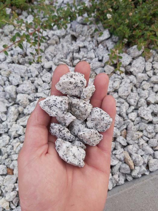 Grys granitowy, dalmatyńczyk, kamień ogrodowy ozdobny, kora kamienna,