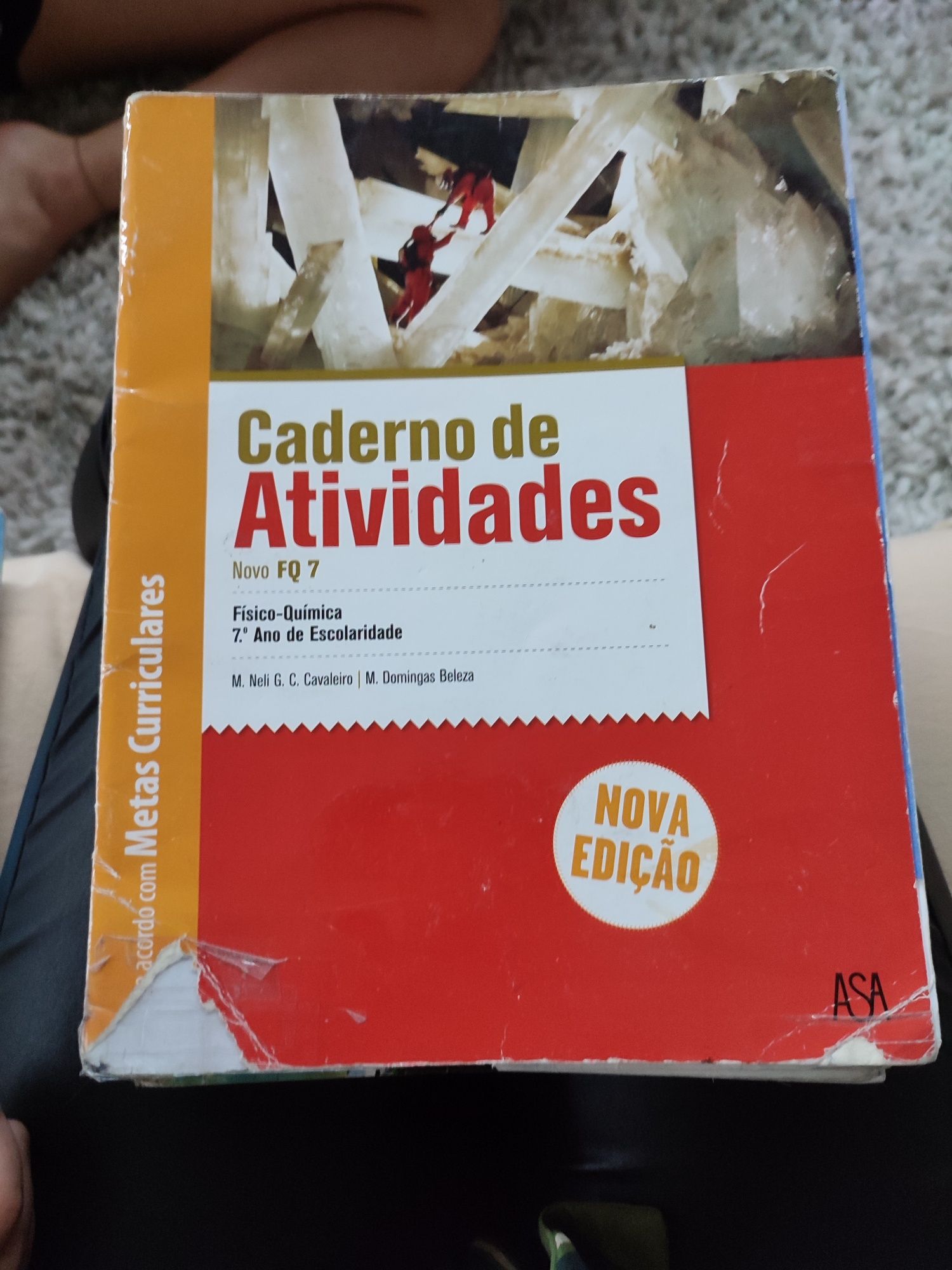 Caderno Actividades / Livros Fichas  7Ano
