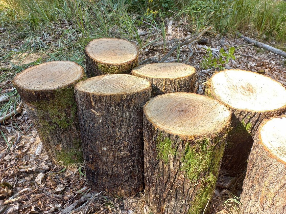 Drewno klocki dębowe, do różnych zastosowań.