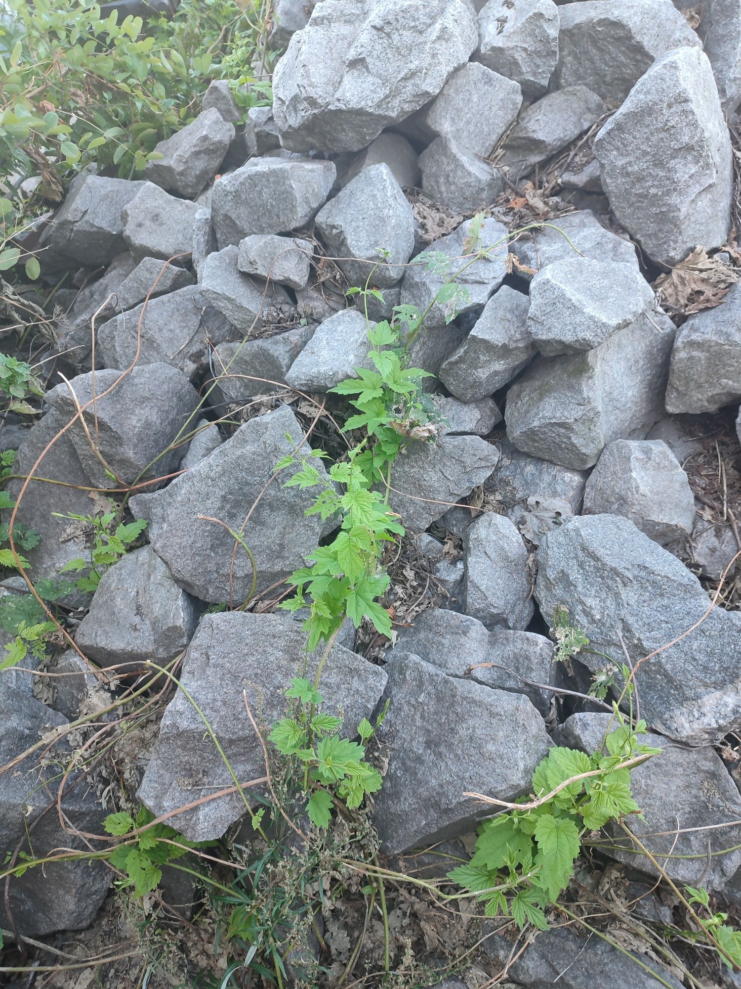 Продам камінь бут