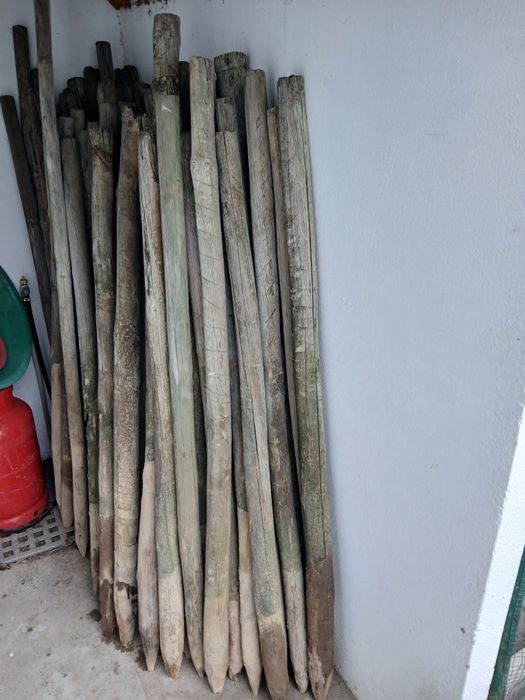 PROMOÇÃO: PAUS tratados  posso fazer 1 euro a unidade(Vedação vinhas á