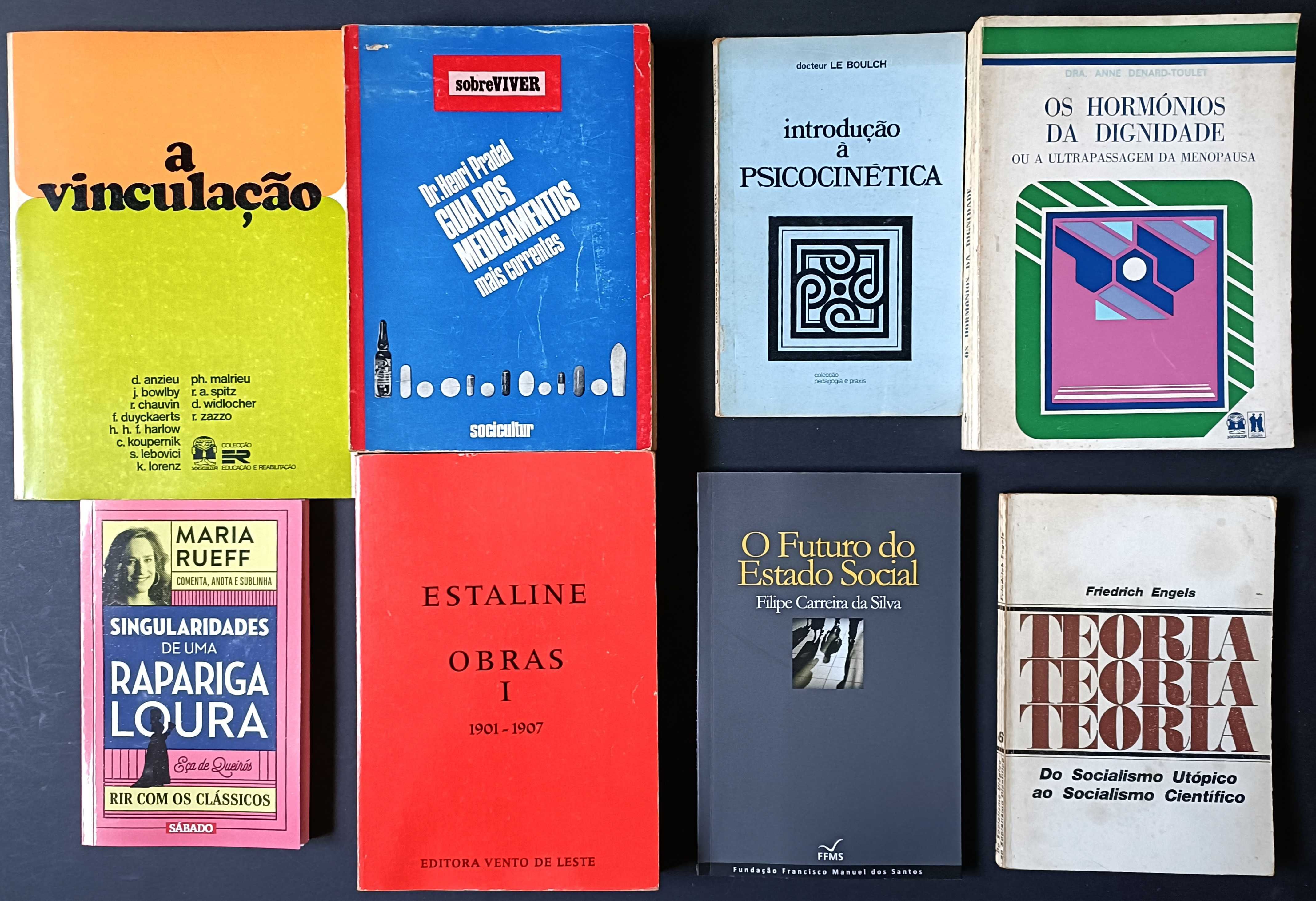 Lote de 65 livros de literatura variada, por apenas 85€.
