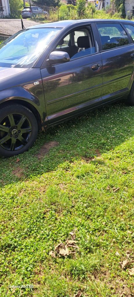 Audi A3 8P 1.9TDI