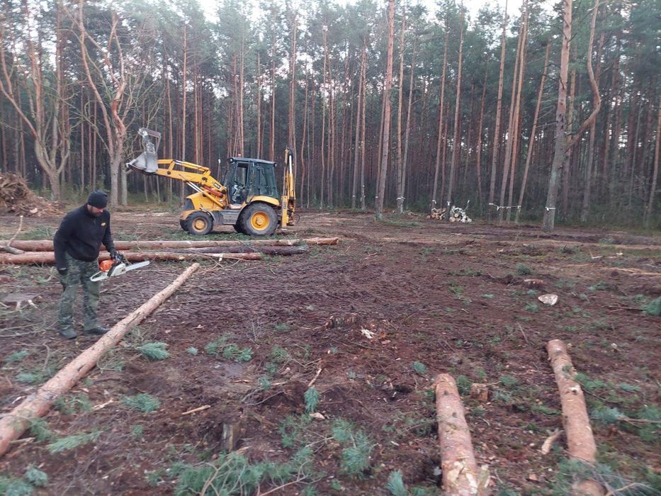 Wycinka drzew zrebkowanie gałęzi usuwanie karp