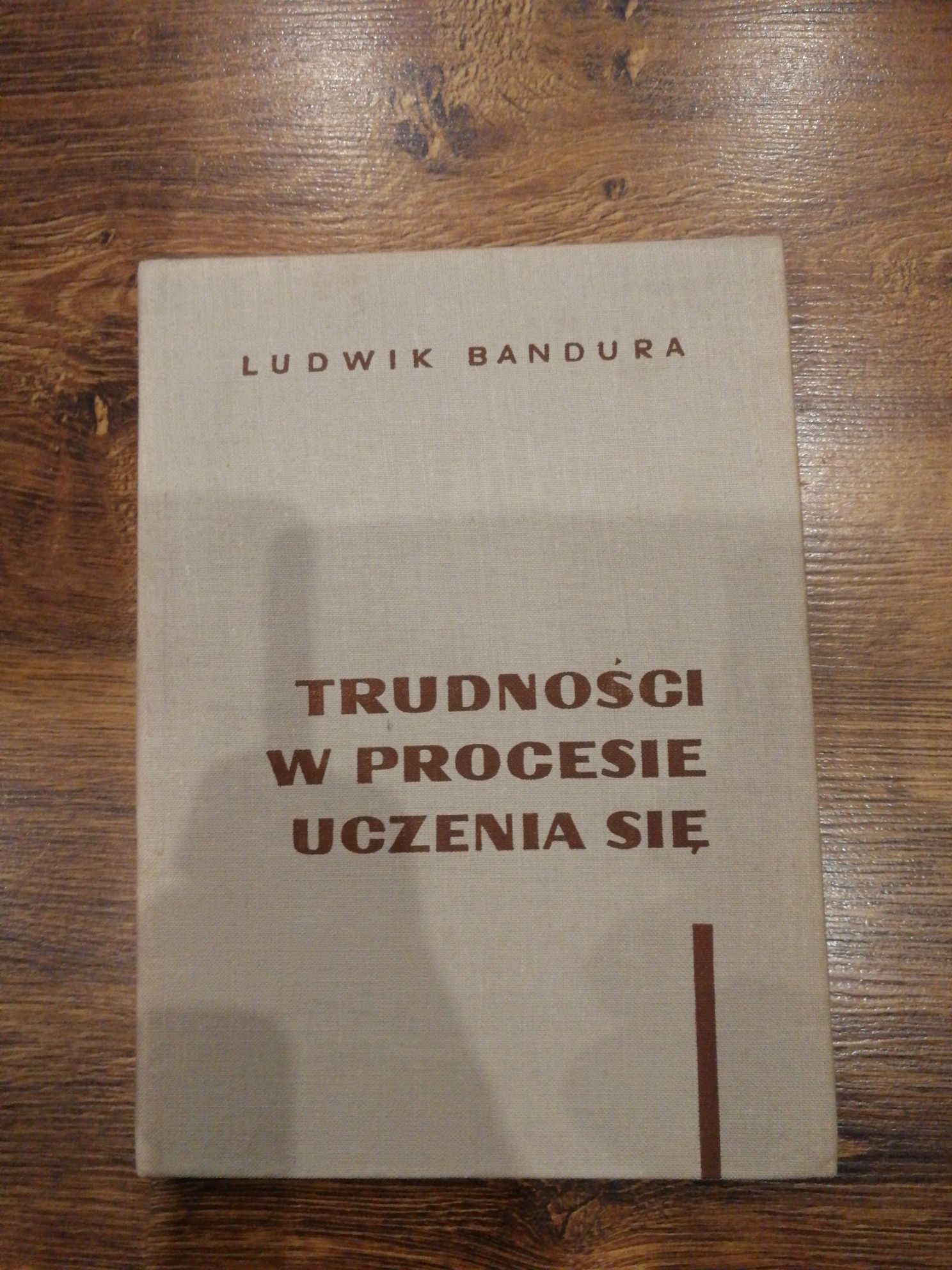 Trudności w procesie uczenia się. Ludwik Bandura