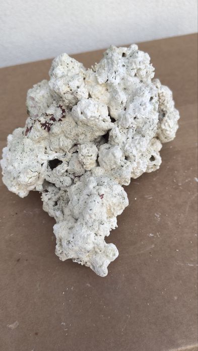 Sucha skała do akwarium morskiego