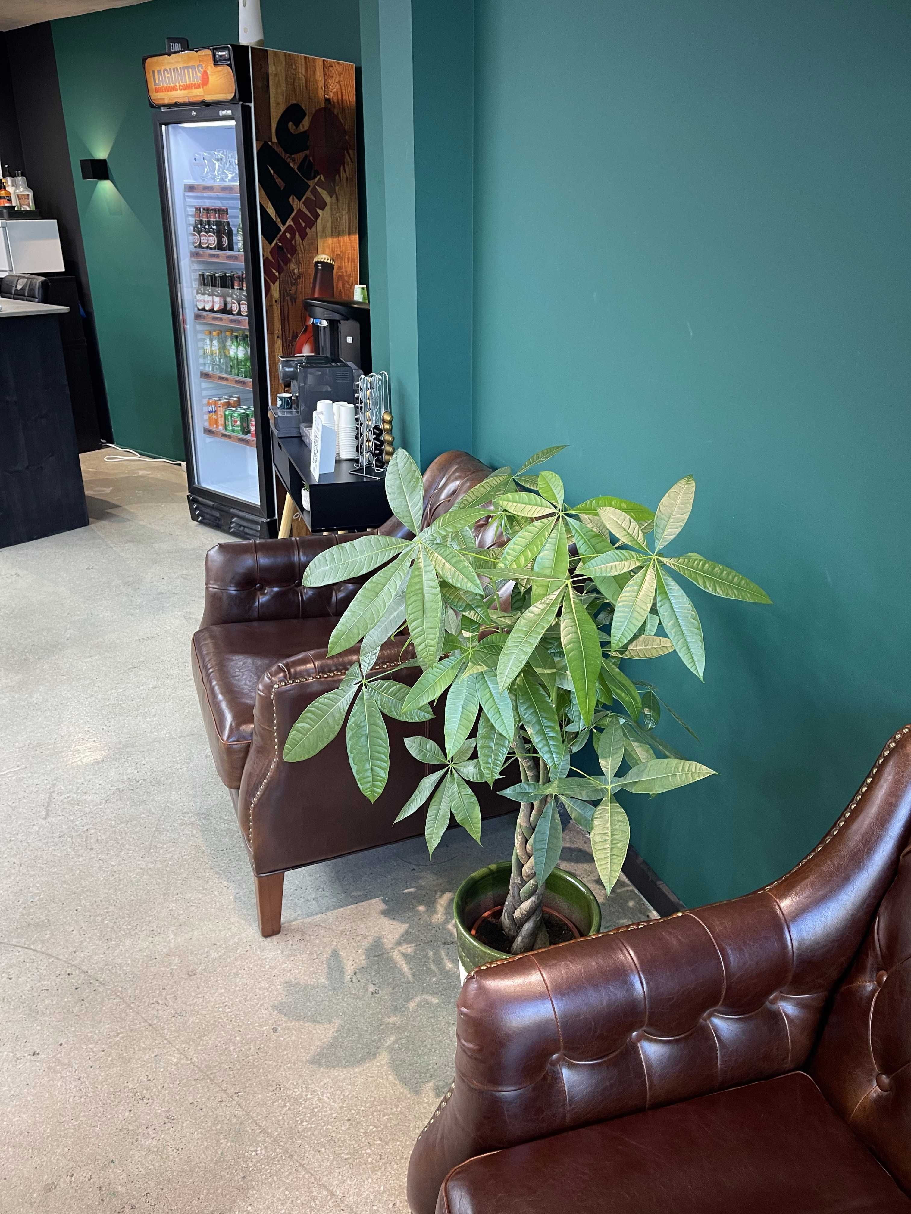 Trespasse Barbearia em Lisboa - Oportunidade