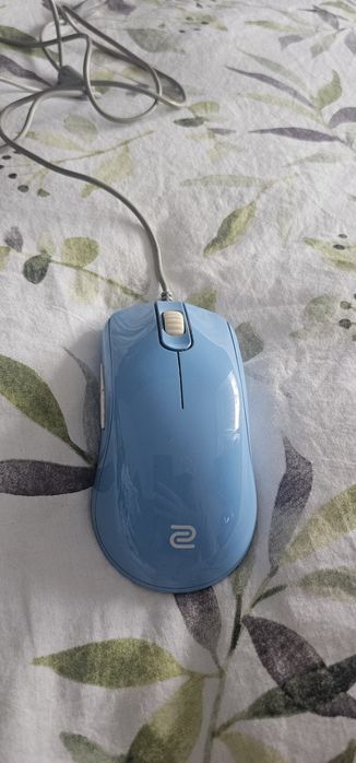 Myszka Zowie EC2-B DIVINA BLUE