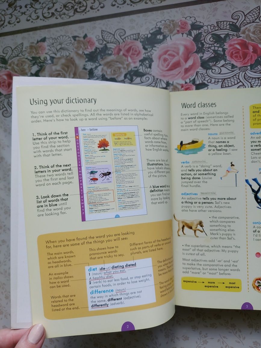 Junior Illustrated English Dictionary USBORNE