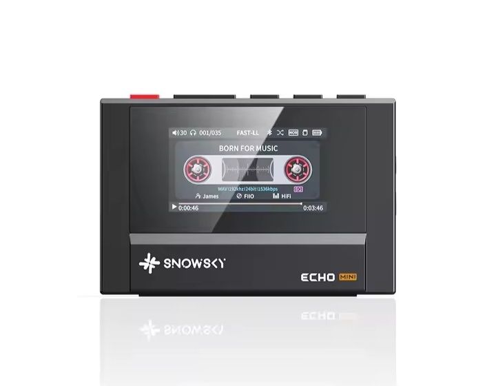 Fiio snowsky echo mini