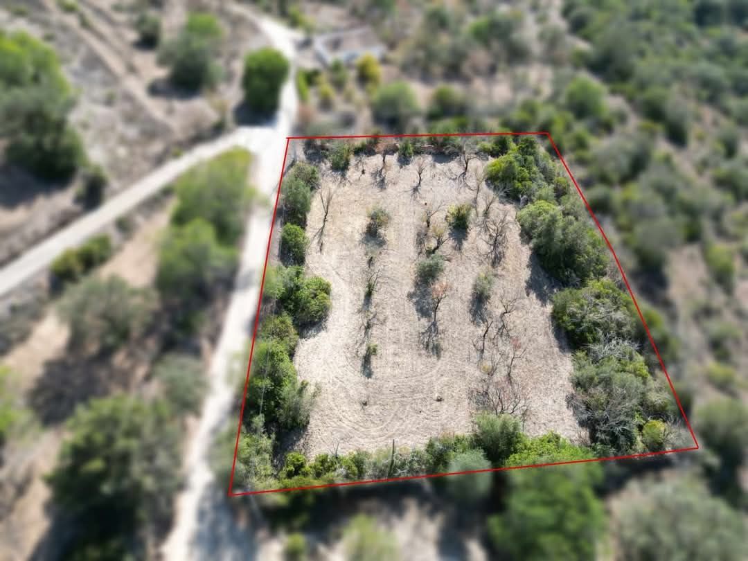 Terreno c/ 2.426m2