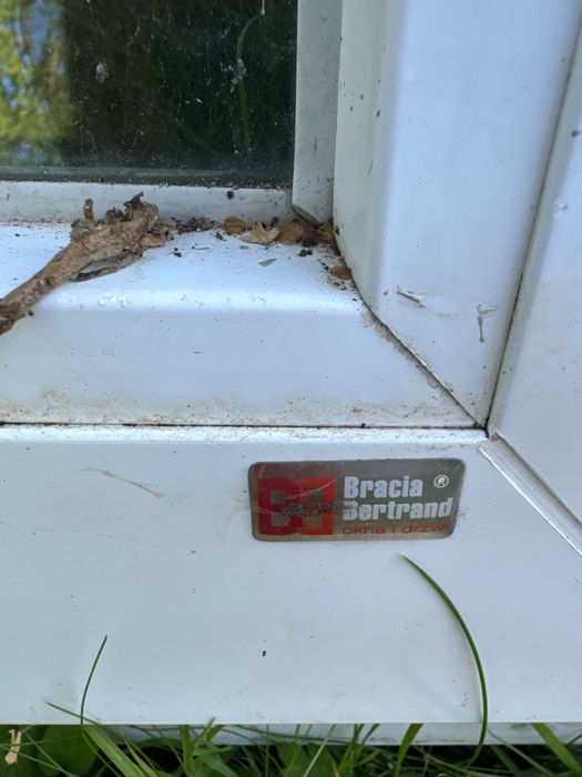 Okazja!! Okna białe stan bardzo dobry