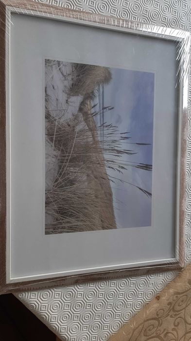 Moldura fotos nova