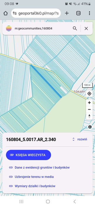 Sprzedam las mieszany w Strojcu 0,25 ha