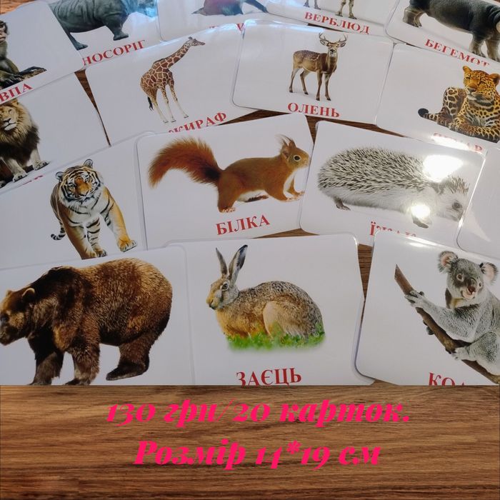 Картки Домана різних розмірів ламіновані