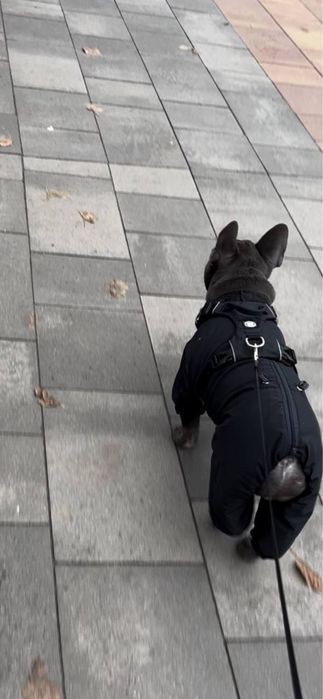 Комбінезон з капюшоном, дощовик