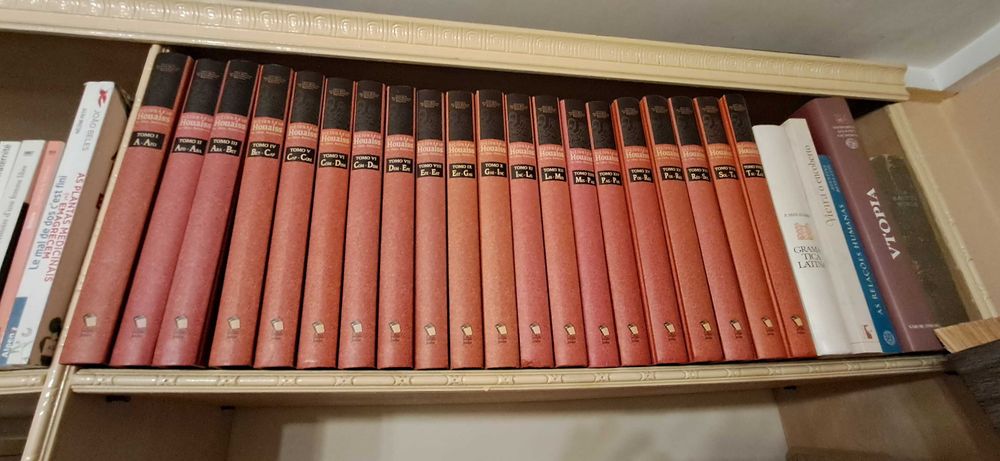 Dicionário Houaiss, 20 volumes
